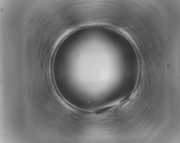 X0000074331197200609152049