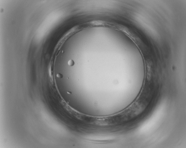 X0000074331198200609152049