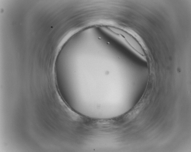 X0000074331199200609152049