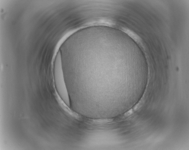 X0000074331200200609152049