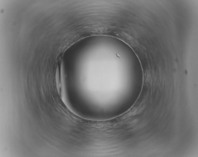 X0000074331202200609152048