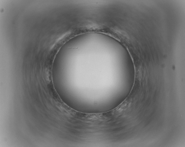 X0000074331205200609152048