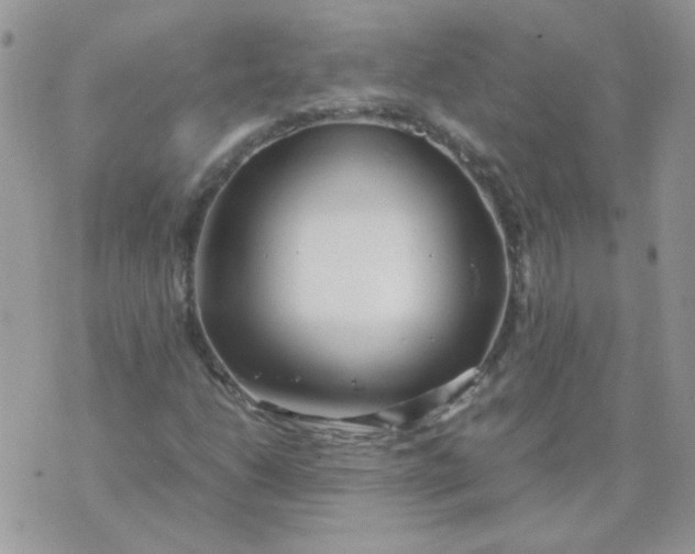 X0000074331206200609152048