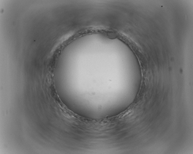 X0000074331207200609152048