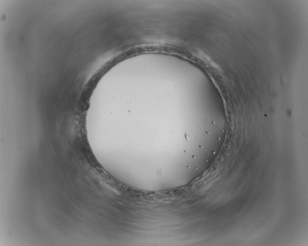 X0000074331208200609152048