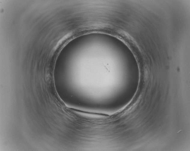 X0000074331210200609152048