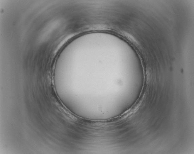 X0000074331212200609152048