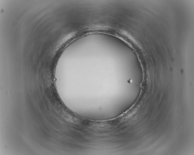 X0000074331213200609152048