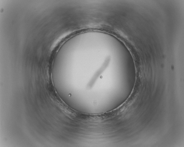 X0000074331214200609152048