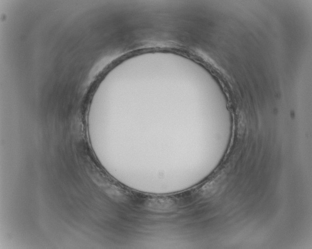 X0000074331215200609152048