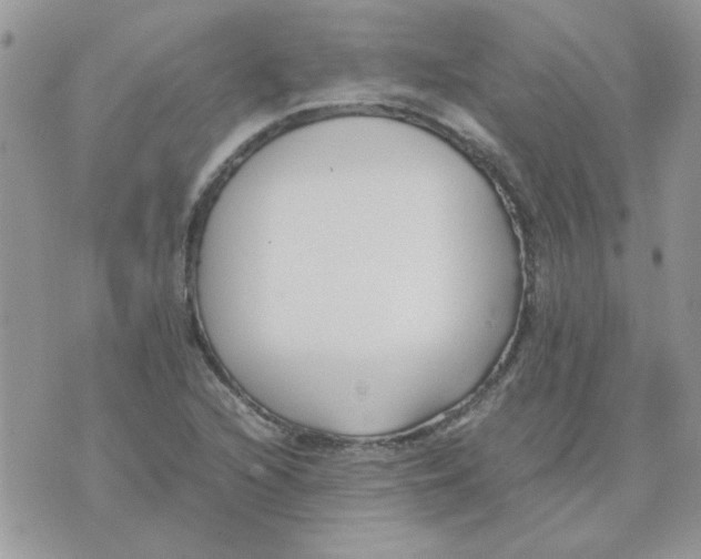 X0000074331216200609152048