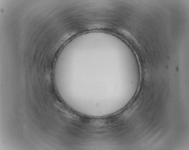 X0000074331217200609152048