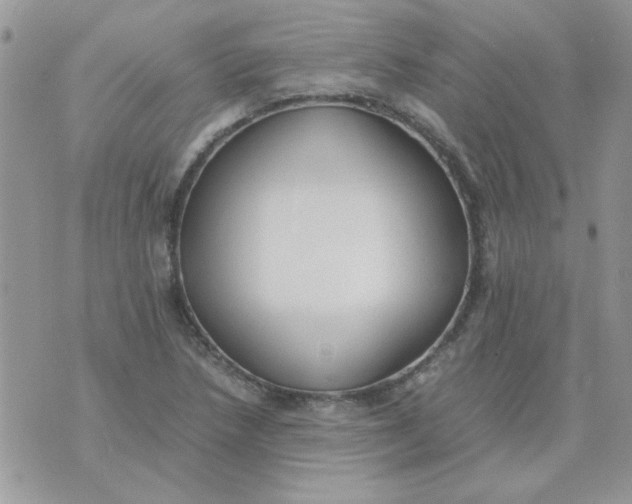 X0000074331218200609152048