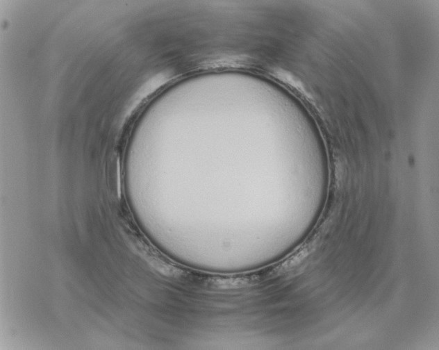 X0000074331219200609152048