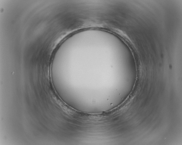 X0000074331220200609152048