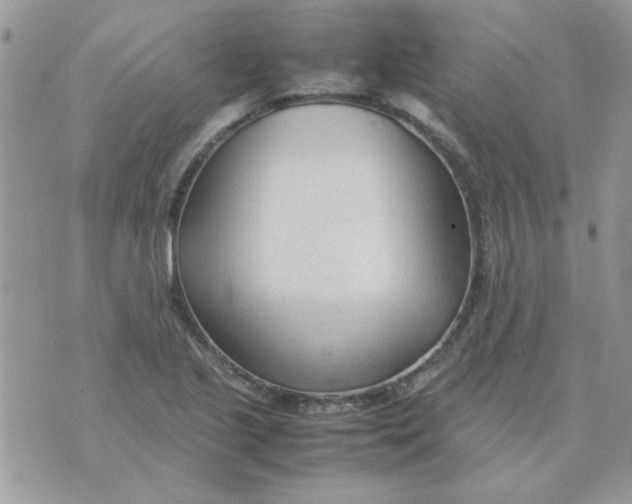 X0000074331221200609152049