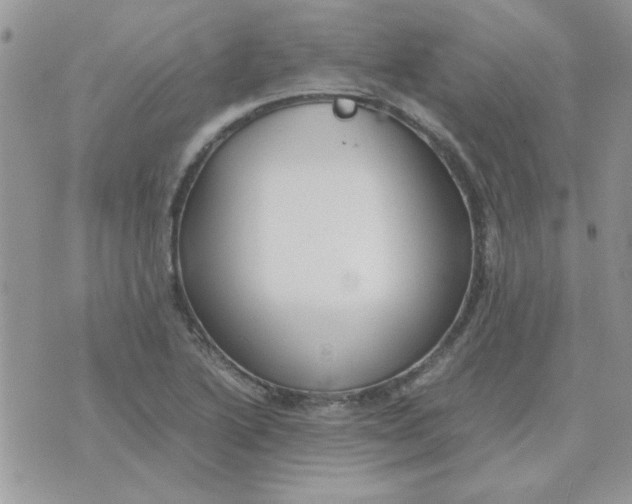 X0000074331222200609152049