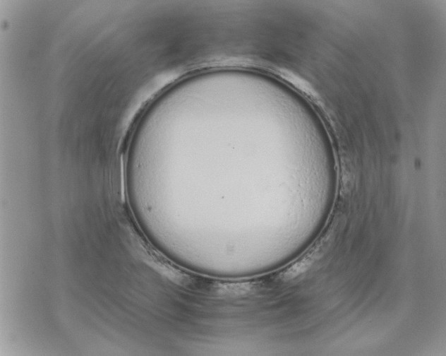 X0000074331223200609152049