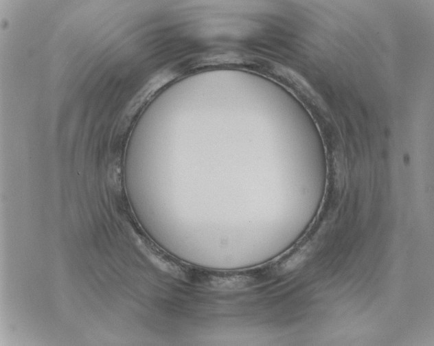 X0000074331225200609152049