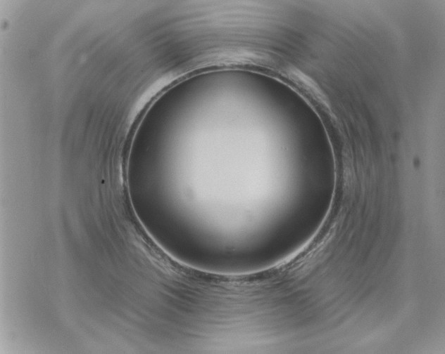 X0000074331226200609152049