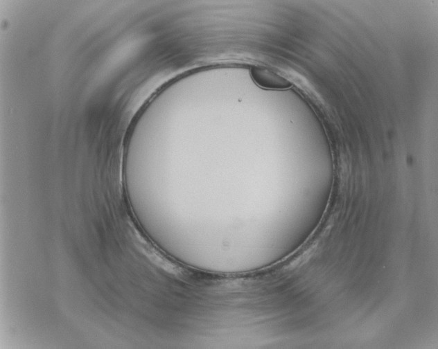 X0000074331228200609152049