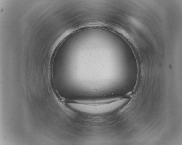 X0000074331229200609152049