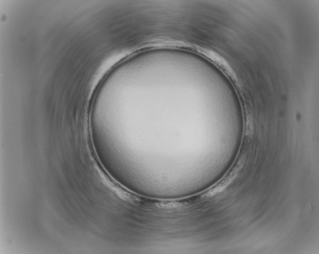 X0000074331231200609152049