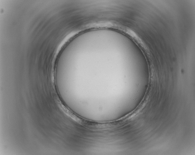 X0000074331232200609152049