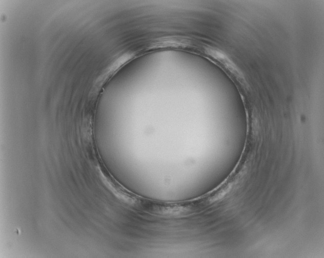 X0000074331233200609152049