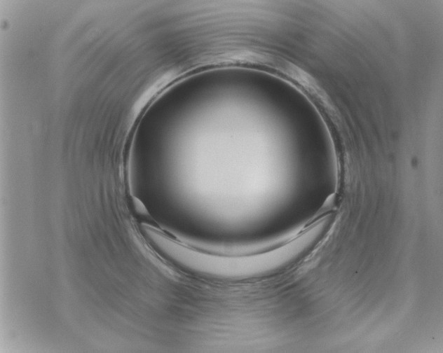 X0000074331234200609152049