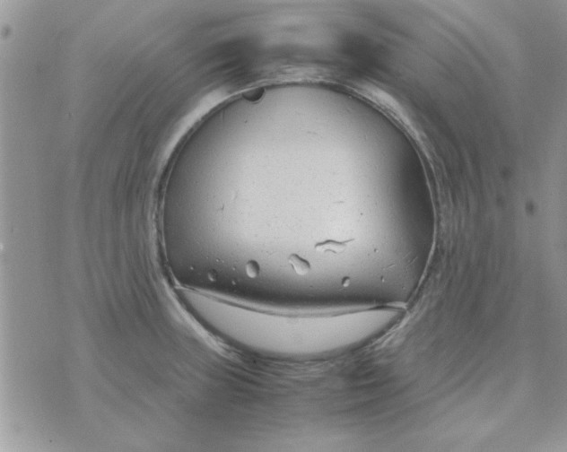 X0000074331235200609152049