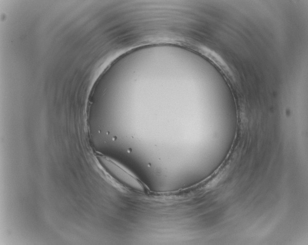 X0000074331236200609152049