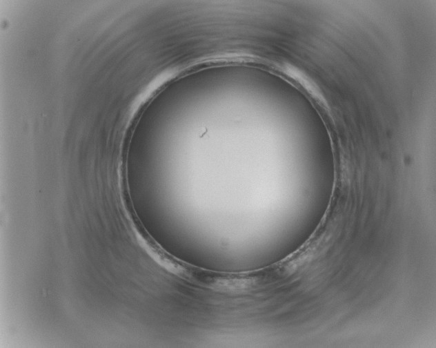 X0000074331237200609152049