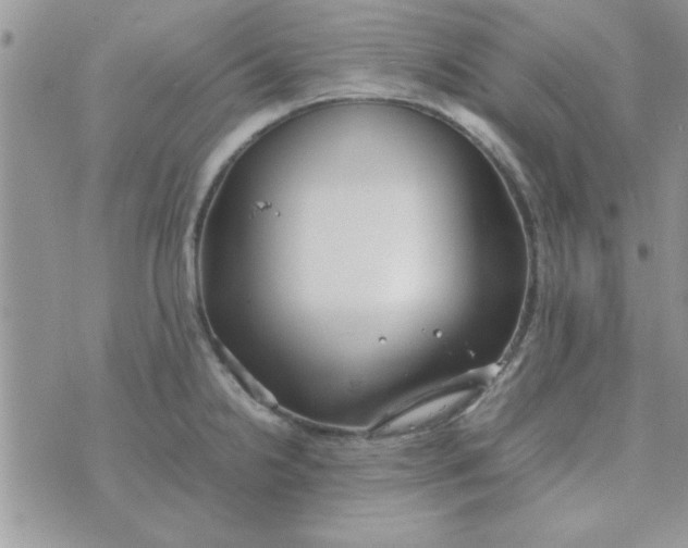 X0000074331238200609152049