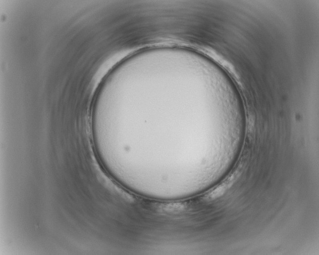 X0000074331239200609152049