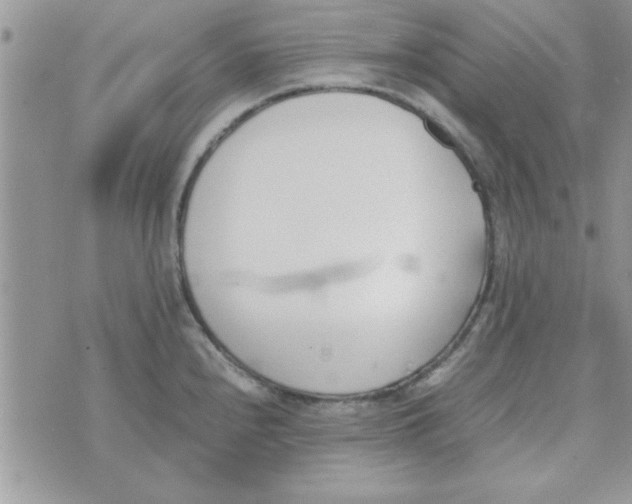 X0000074331240200609152049