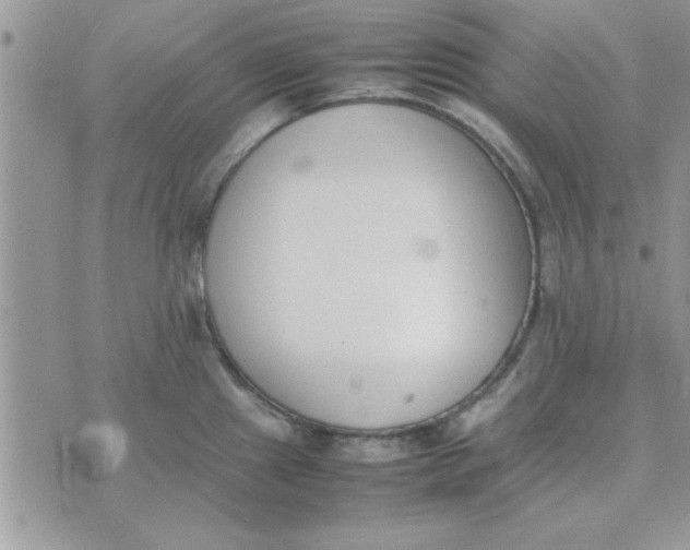 X0000074331241200609152049