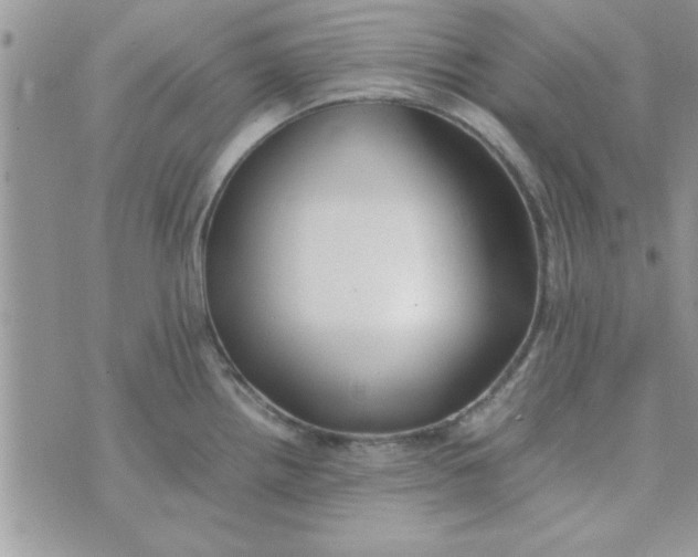 X0000074331242200609152049