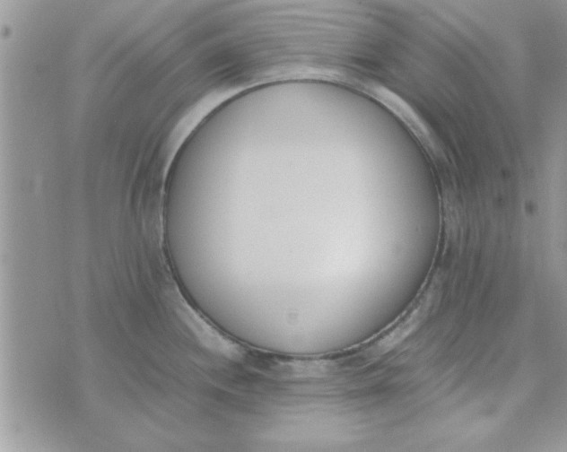 X0000074331244200609152049