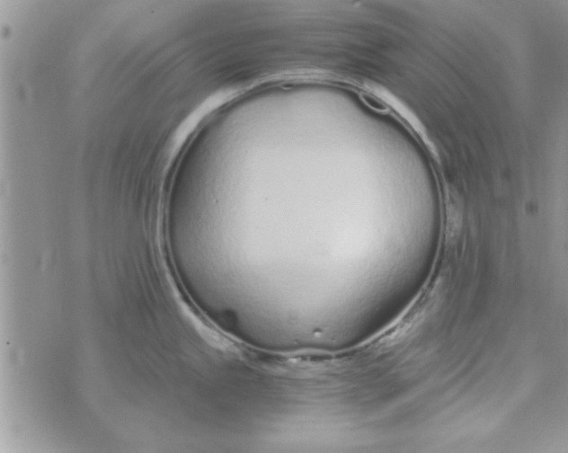 X0000074331245200609152049