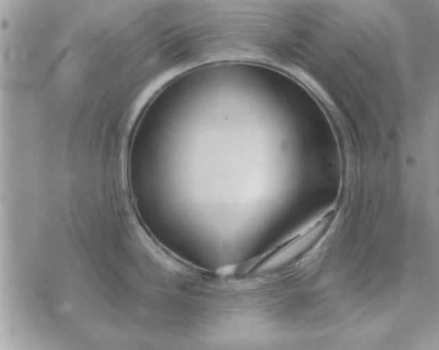 X0000074331246200609152049