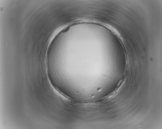 X0000074331247200609152049