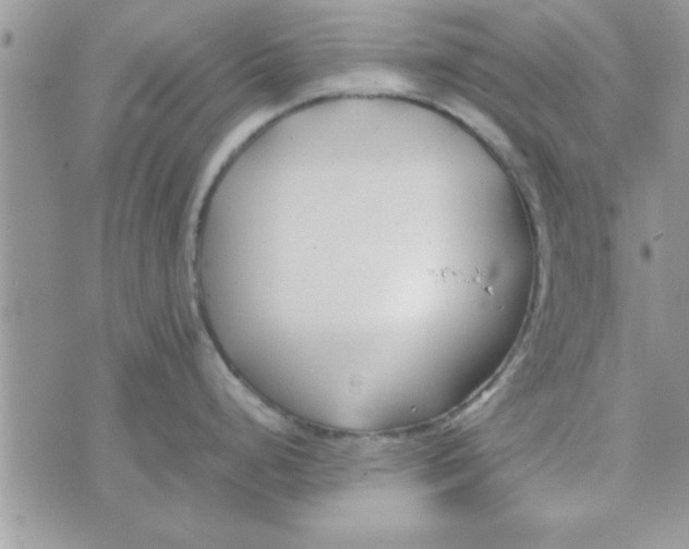 X0000074331248200609152049