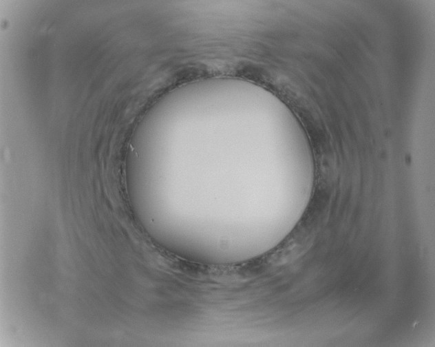 X0000074331249200609152048