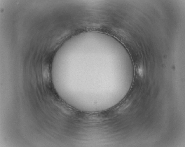 X0000074331252200609152048