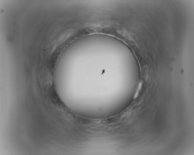 X0000074331253200609152048