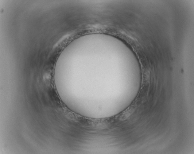 X0000074331254200609152048