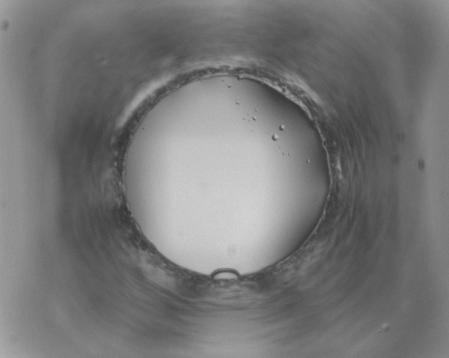 X0000074331256200609152048