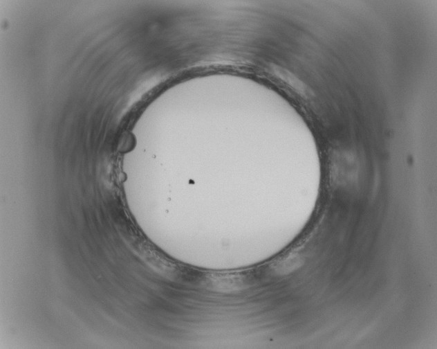 X0000074331258200609152048