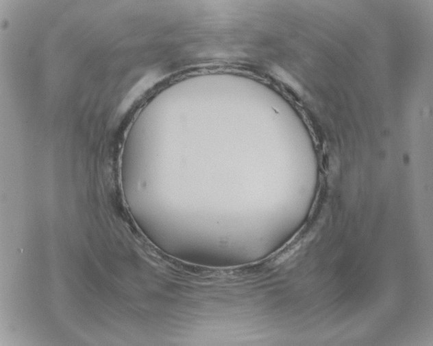 X0000074331259200609152048